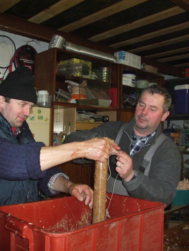 HogHarvestIveta DzubriakovÃ¡ KundrÃ¡tovÃ¡ (4)